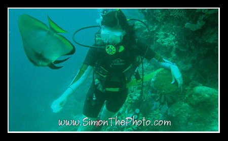 Xandra diving in Cebu